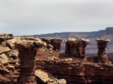 Moab-White Rim 4-08 022